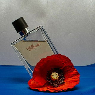 Terre d'Hermés Eau de ...