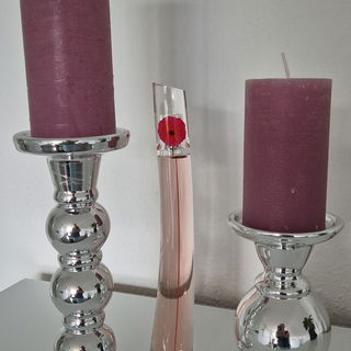 Sammlung Stand 07/2025 ...