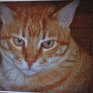 1000 Teile vom geliebte...