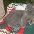 Lilly Mäuschen