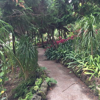 Botanischer Garten in M...