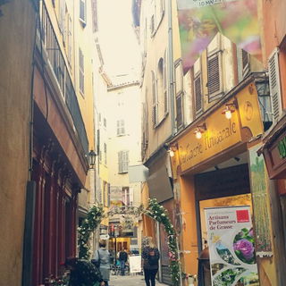 Expo Rose in Grasse / F...