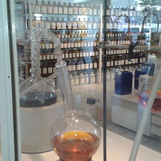 Bei Fragonard in Grasse...