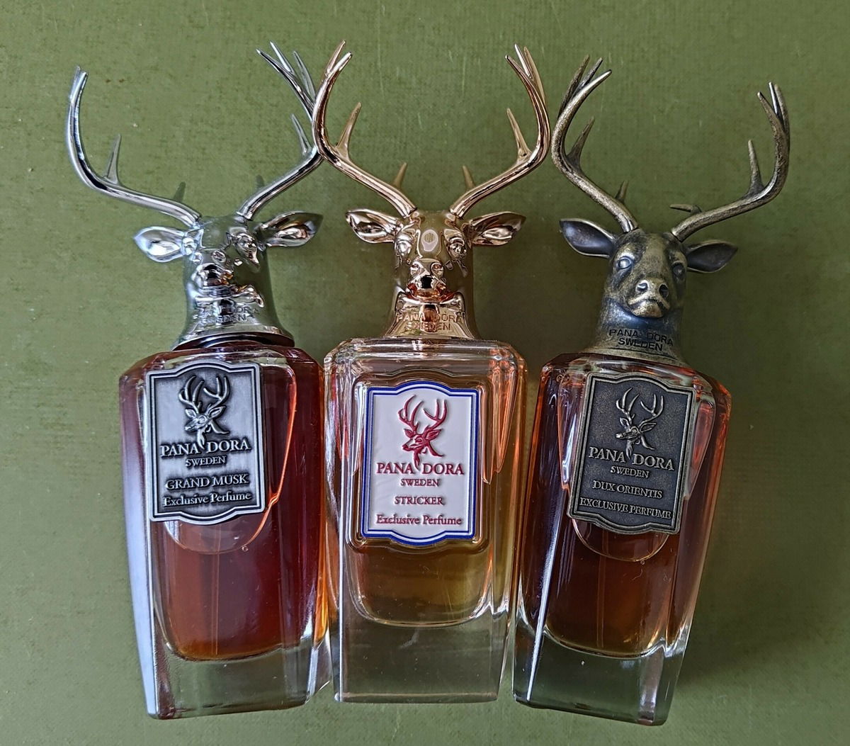 Pana Dora - Grand Musk/Stricker/Dux Orientis