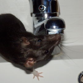 "HÄ?! Wo is das Wasser...