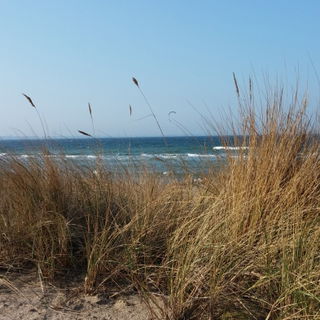 Ostern in Niendorf/Osts...