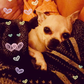 ♥️Luna♥️