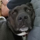 This face!
