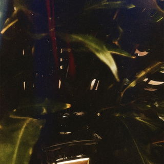 GIORGIO ARMANI, Thé Yu...