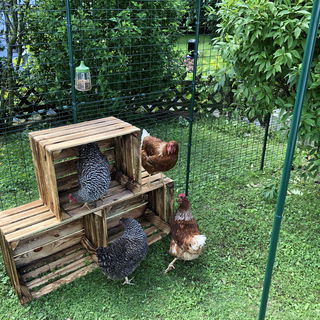 Wie schauts denn hier a...