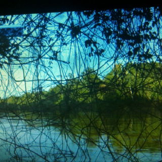 am Amazonas, nähe Mana...