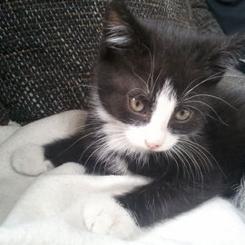 Unsere Kleine