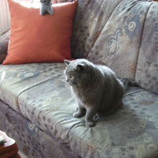 Moritz beim Fernsehen g...