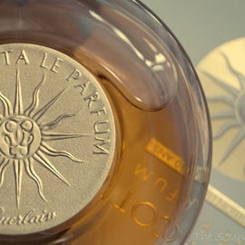 Guerlain Terracotta le ...