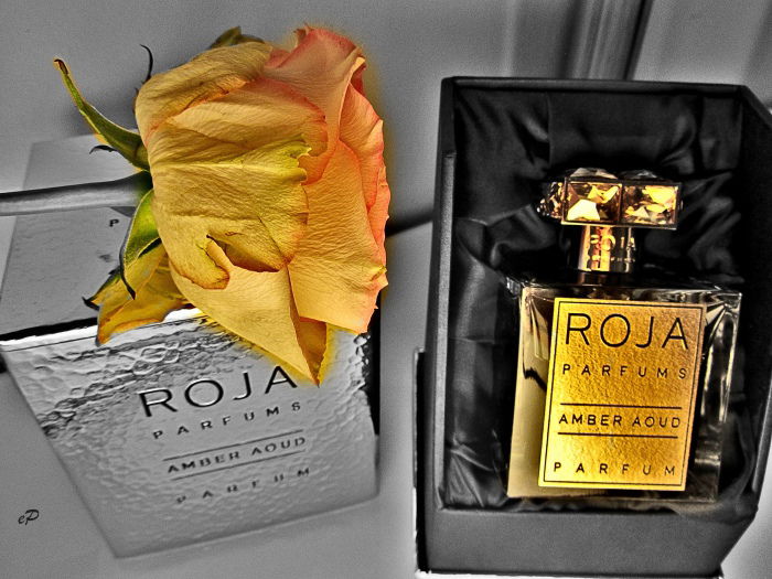 Improvisation Aoud und Rose.