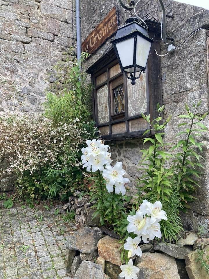 Lilien in Locronan