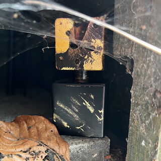 Dilema / Adi ale Van