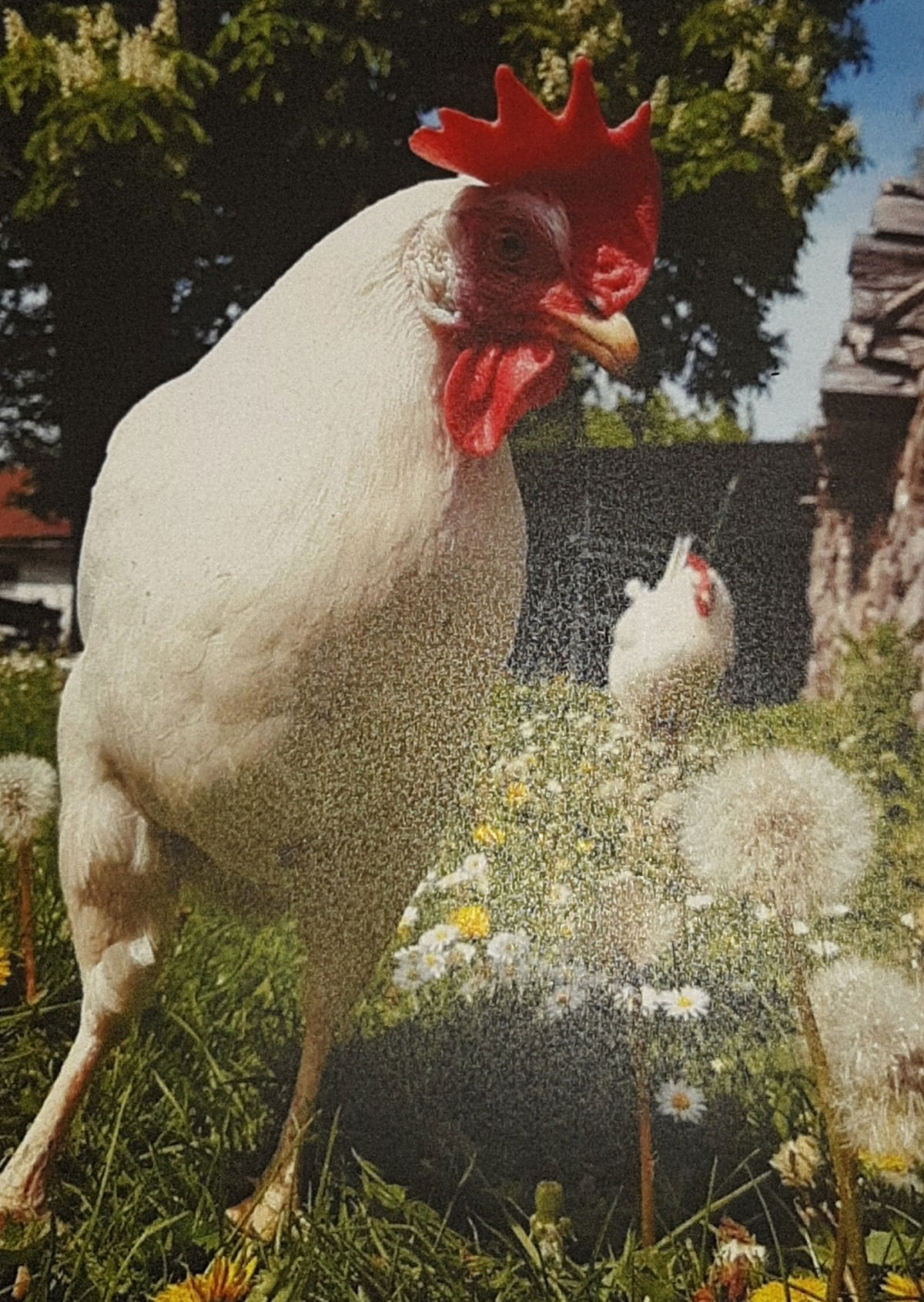 Fridolina, mein Patenkind