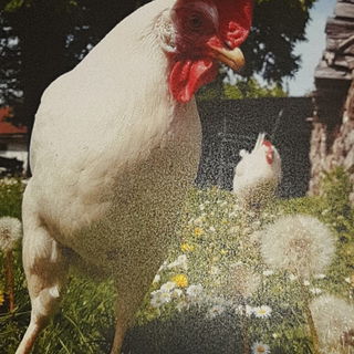 Fridolina, mein Patenki...