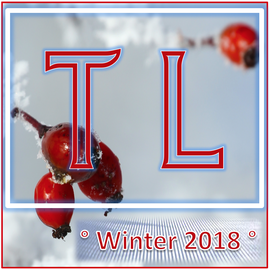 Winter Toodle 2018