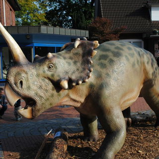 Neulich in Niendorf......