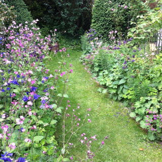 Im Garten im Mai...