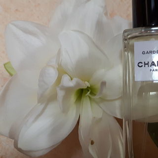 Gardénia - Chanel Les ...
