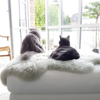 Wir waren 'Ziemlich bes...