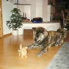 .. Bushi , vor 20 Jahre...