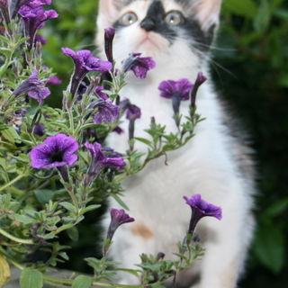 Die Welt ist soooo gros...