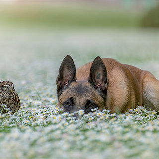 Schnell duck' dich...! ...