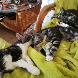All you need is LOVE