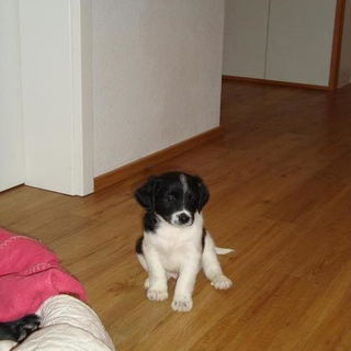 TeoBaby