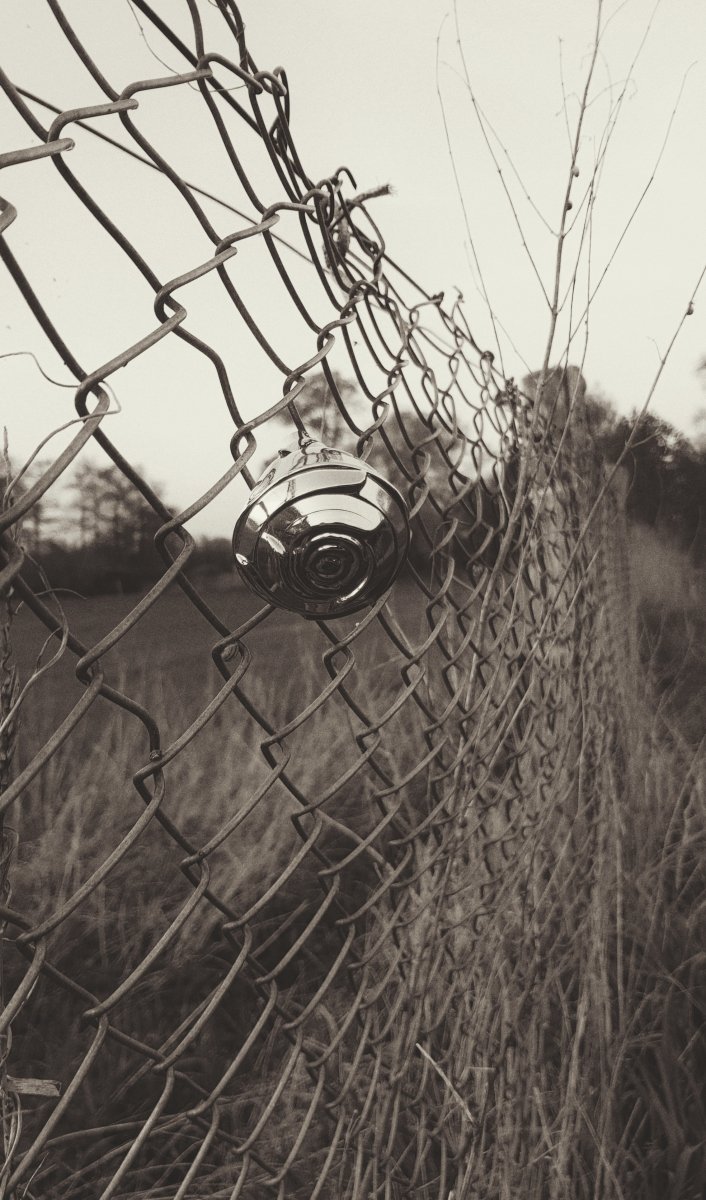 Just remember in the winter far beneath the bitter snows Lies the seed, that with the sun's love, in the spring Becomes The Rose