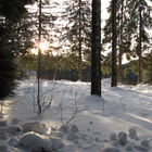 Katharinenhöhe