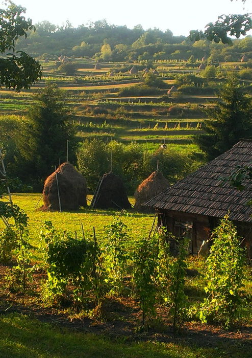 Ostkarpaten Abendstimmung