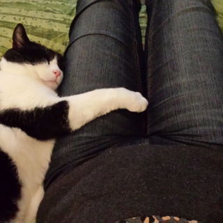 Im Bettchen ist es nett...