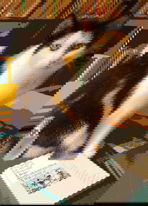 1.03.2002 - 14.01.2019