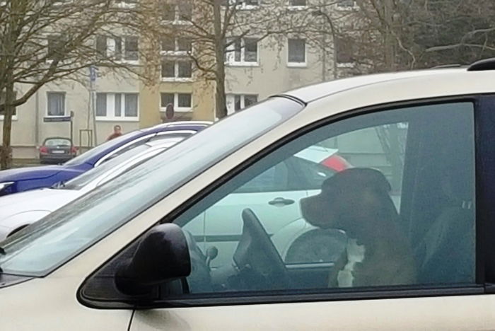 Er ist nicht angeschnallt