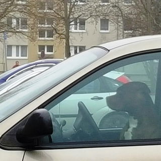 Er ist nicht angeschnal...