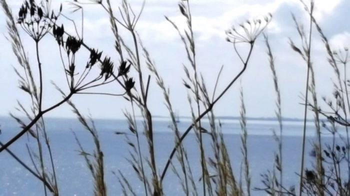 Irgendwo in der Nähe der Dybbøl Mølle