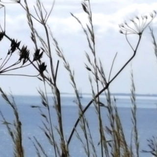 Irgendwo in der Nähe d...