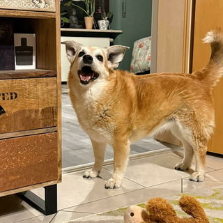 Rubymaus 🌈😢 2013 ...