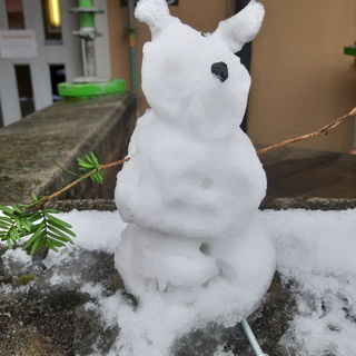Auf der Mauer, auf der ...