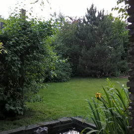 Im Vordergrund schon ve...