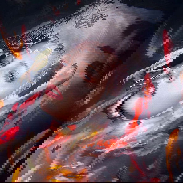 art by Staudinger-Franke