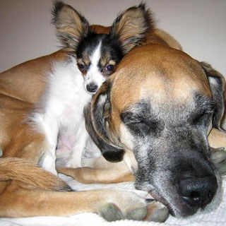 Big Love!