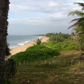 Vom Turtle Bay Hotel in...