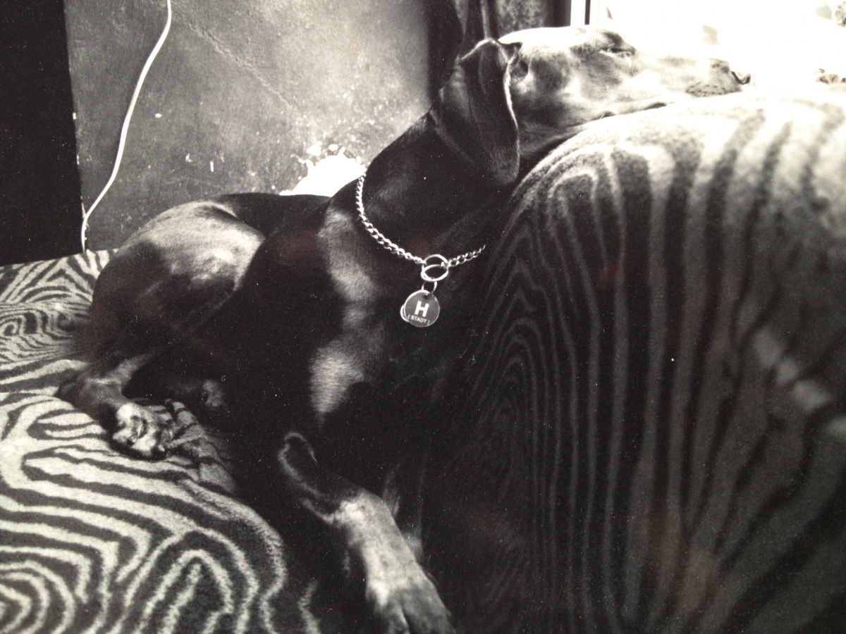 Sie war eine wahre Diva und ihr Parfum war JICKY..!