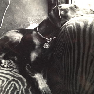 Sie war eine wahre Diva...